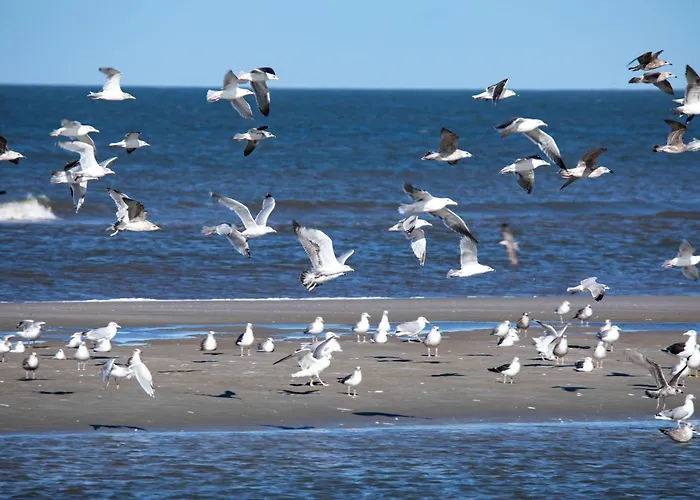 Appartementhaus Bracht - Uns Stuuv